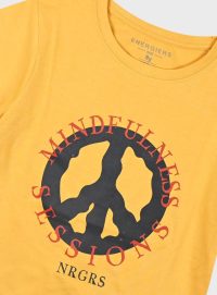 Energiers Παιδικό Καλοκαιρινό Σετ με Σορτς για αγόρι Ανθρακί (13-225015-0-002)_2